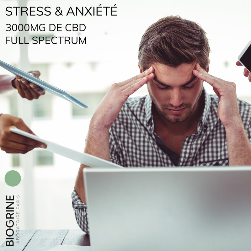 Huile CBD 3000mg Full Spectrum 30% | Stress & Anxiété | Goût Menthe Glaciale 10ml Vegan